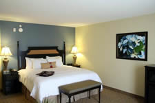 Hotel Room at the Hampton Inn Murrells Inlet