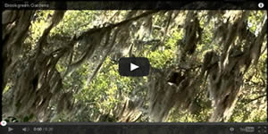 Brookgreen Gardens Video