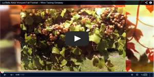 La Belle Amie Vineyard Video